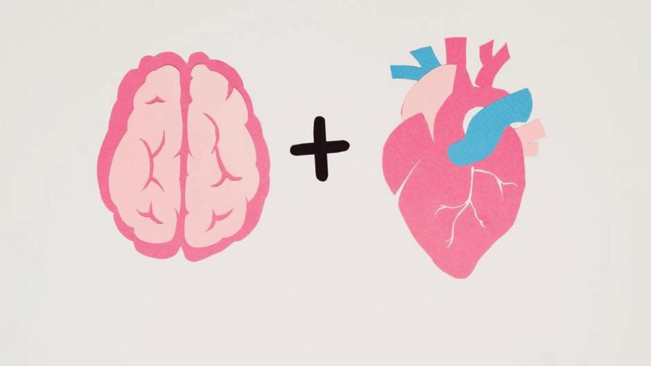 뇌졸중 치료는 심장에서 내보내는 뇌의 혈액순환이 중요