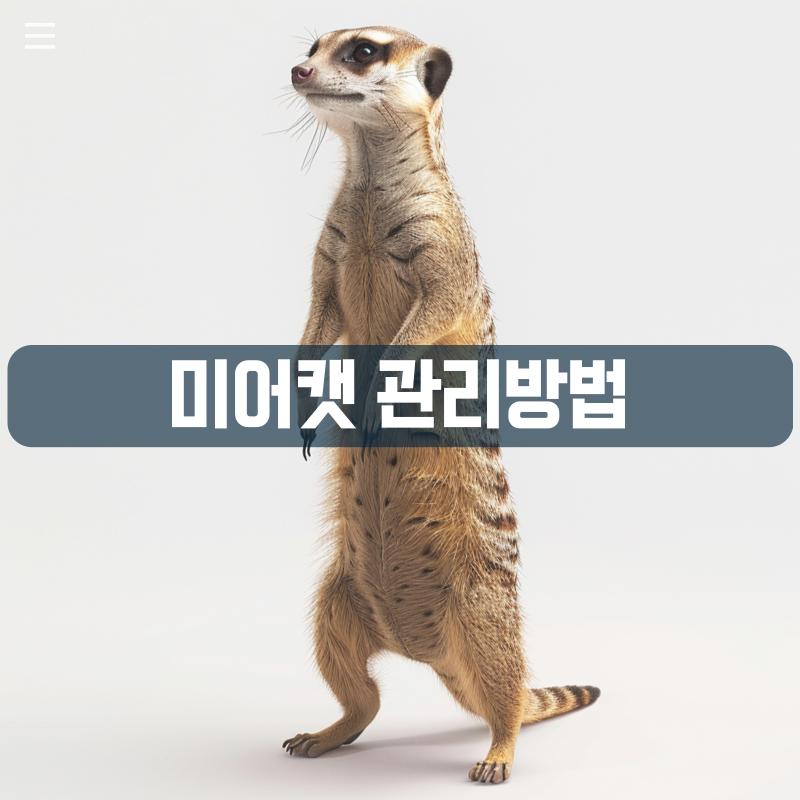 001.png.jpg