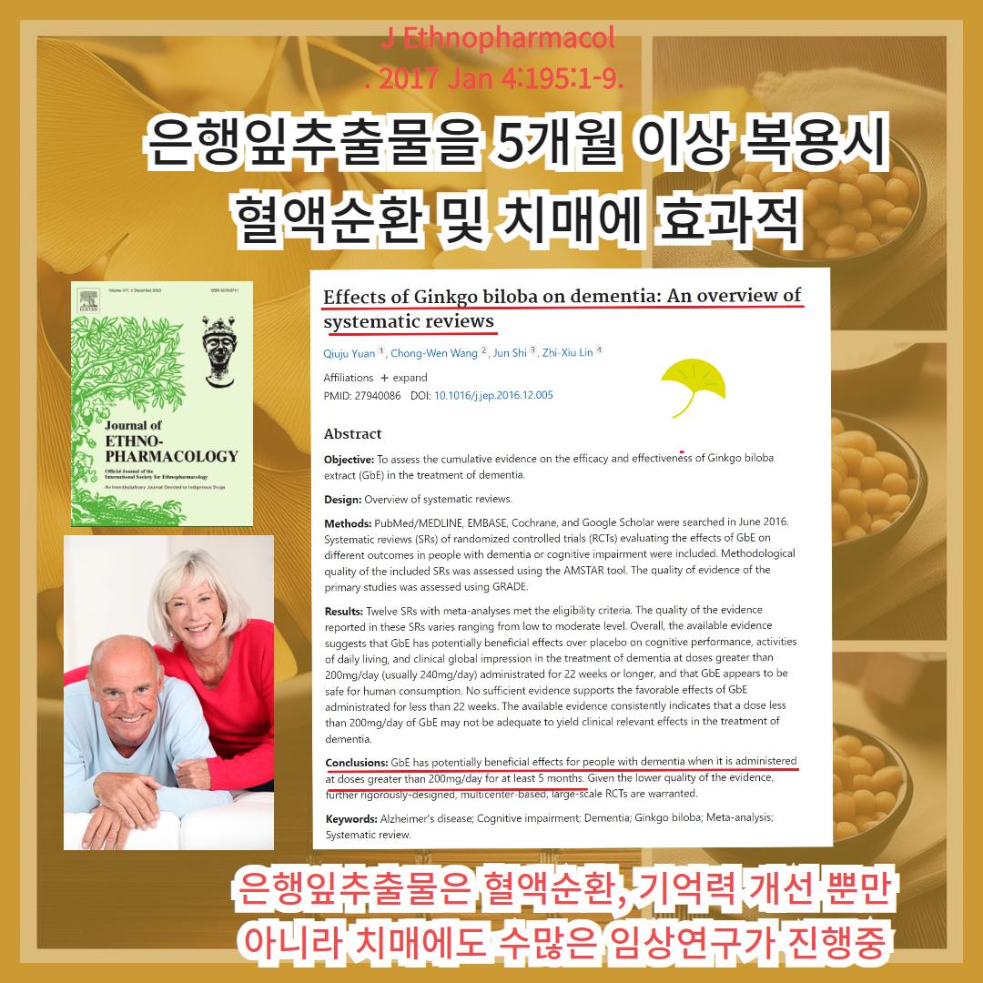 0805 치매_은행잎나토키나제 7.jpg
