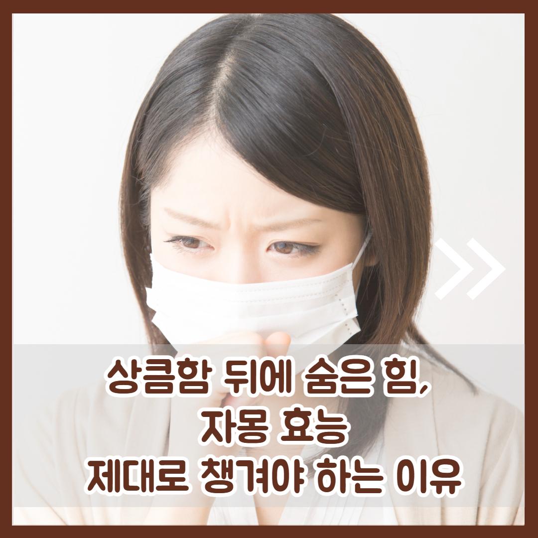 자몽 효능 2.jpg