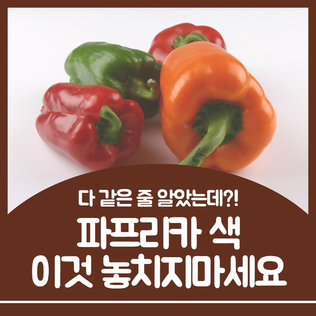 파프리카 색깔별 효능 1.jpg