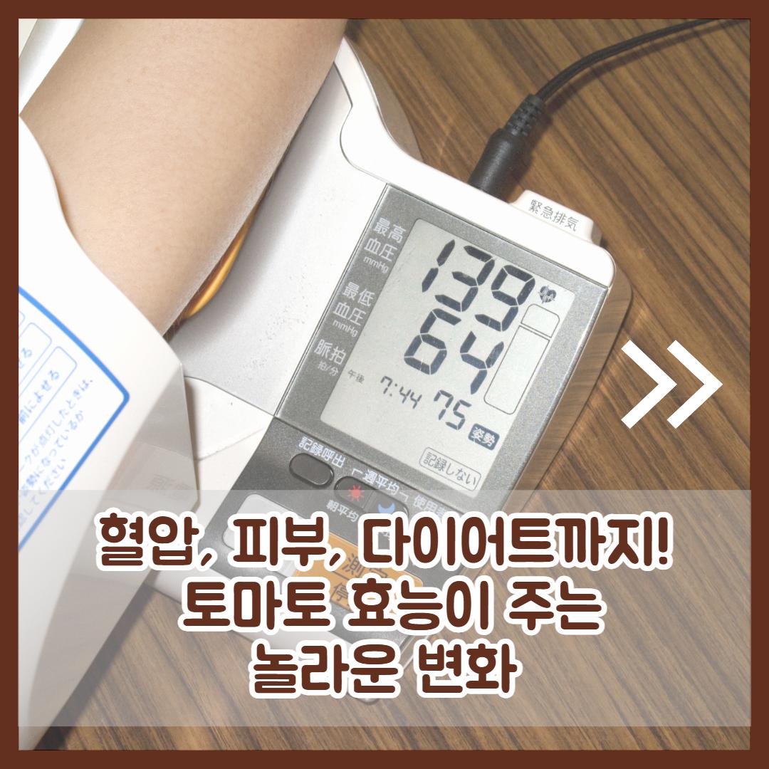 토마토 효능 2.jpg
