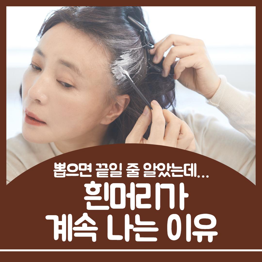 흰머리 나는 이유 1.jpg