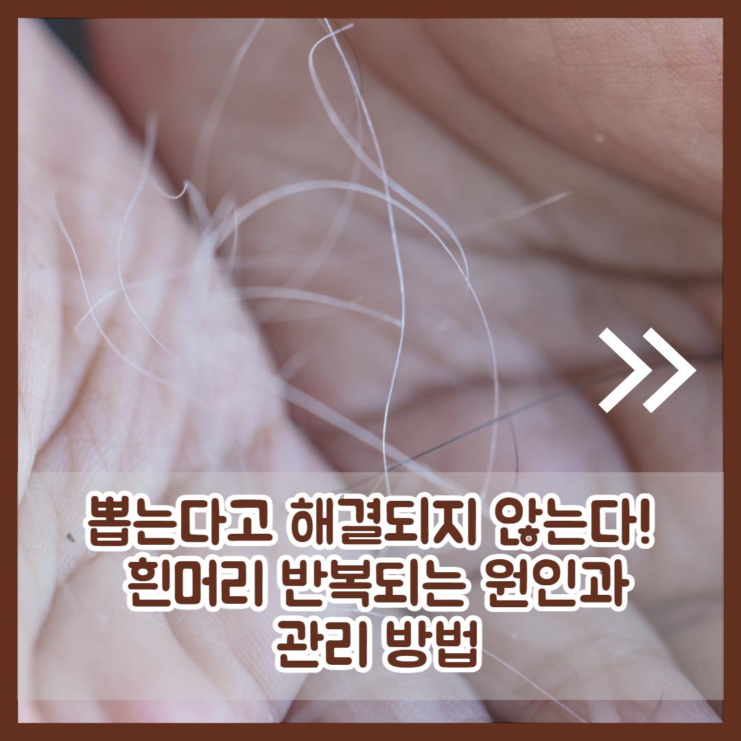 흰머리 나는 이유 2.jpg