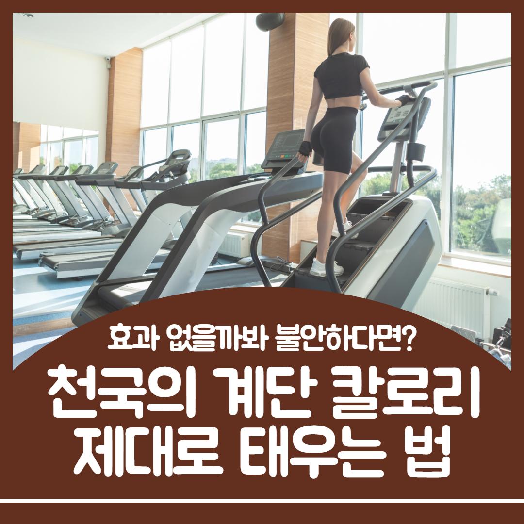 천국의계단 칼로리 1.jpg