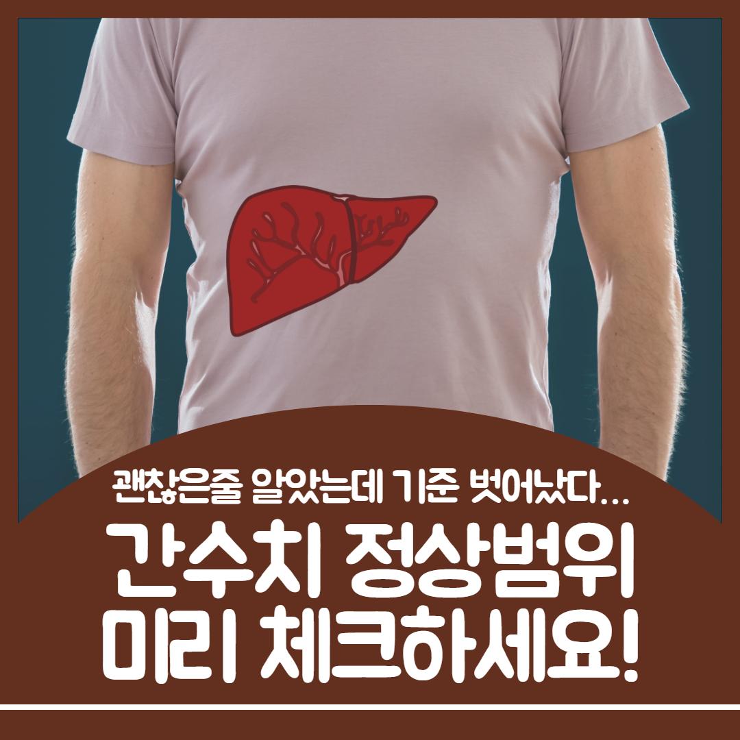 간수치 정상범위 1.jpg