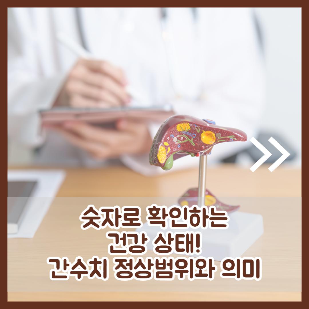 간수치 정상범위 2.jpg