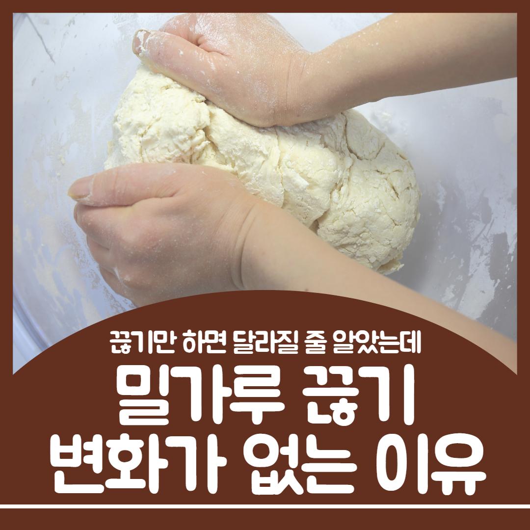 밀가루 끊기 효과 1.jpg
