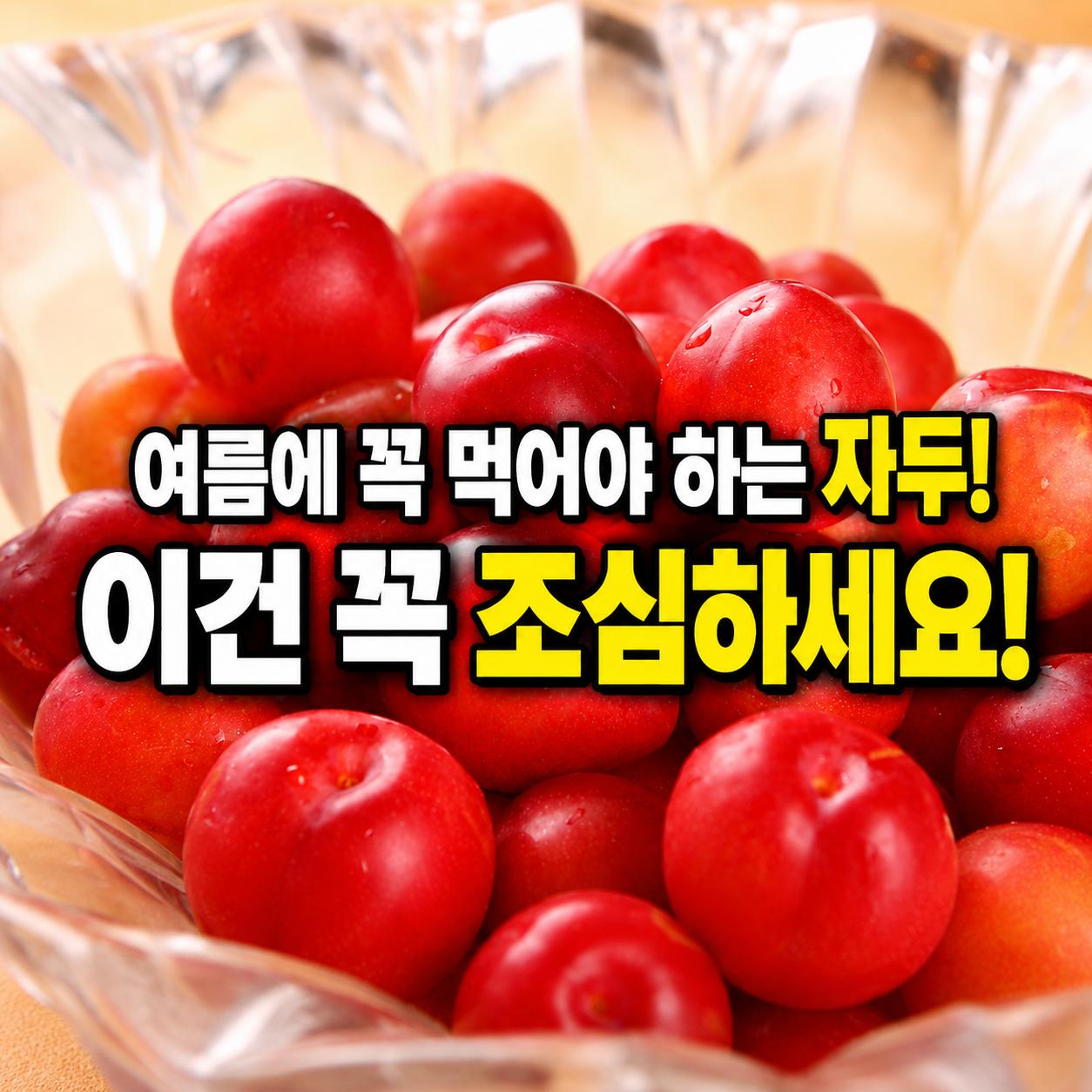 자두 효능 1.png.jpg