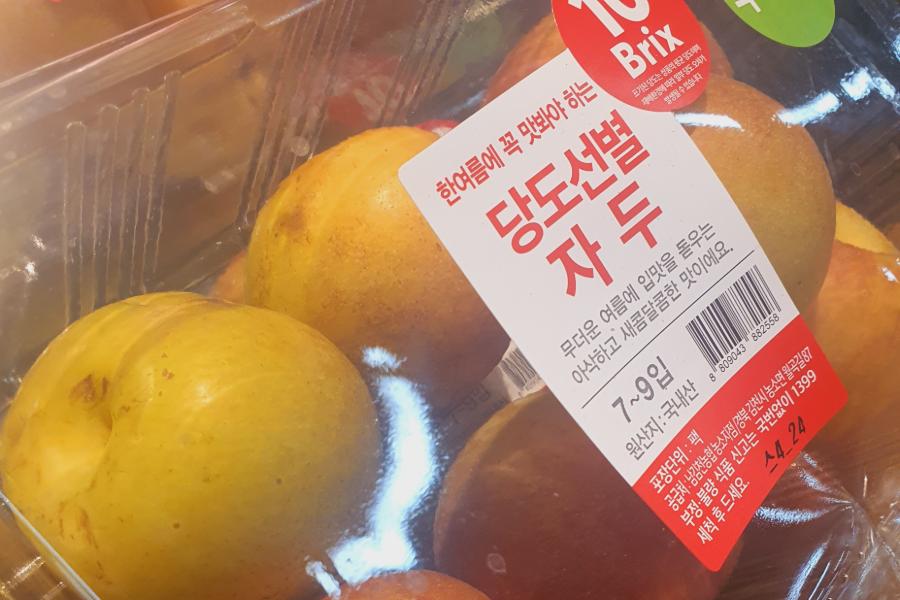 자두 효능 3.jpg