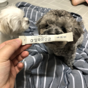 리뷰 사진