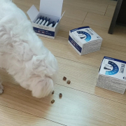 리뷰 사진