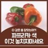 파프리카 색깔별 효능 파프리카 색 잘못 고르면 놓치는 것
