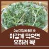 쑥 효능 여성에게 특히 좋지만 이건 조심하세요