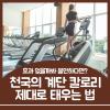 천국의계단 칼로리 소모와 운동 효과
