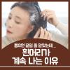 흰머리 나는 이유 올바른 관리 방법까지