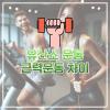 유산소 운동 효과와  무산소 운동 종류 차이 정리