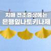 치매전조증상 5가지 치매 예방 돕는 은행잎나토키나제