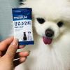 강아지 입양 준비물 키울때 필수확인