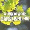 녹내장 초기증상 실명 수술 막고 싶다면 은행잎나토키나제