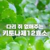 다리쥐푸는법 다리쥐날때 통증 없애주는 키토나제12효소
