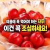 자두 효능 섭취 주의사항까지 알려드릴게요