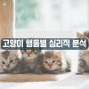 고양이 행동 의미의 분석과 이상한 행동 이유