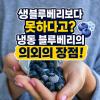 냉동 블루베리 효능 장 건강부터 다이어트 효과까지