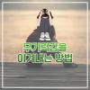 무기력증 극복 방법 7가지