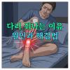 다리 쥐나는 이유 원인 4가지와 하체 순환을 돕는 핵심 성분