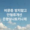 비문증 영양제 안혈류순환개선을 돕는 은행잎나토키나제
